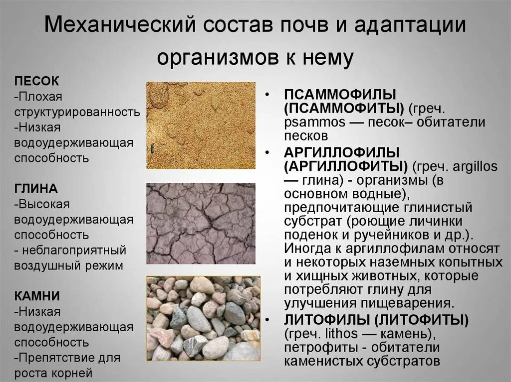 Состав почвы. Состав грунта. Состав почвы виды. Механический состав почвы.