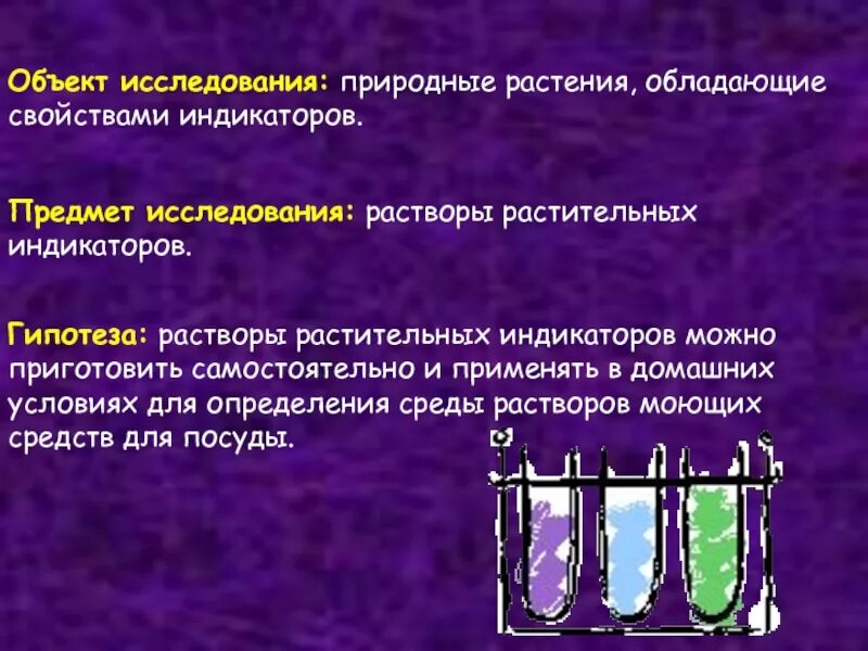 Р р гипотез. Растительные индикаторы химия. Натуральные индикаторы в химии. Индикаторы в химии презентация. Проект по химии природные индикаторы.