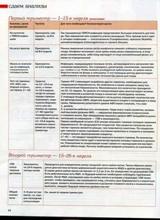 Обследования беременных по неделям