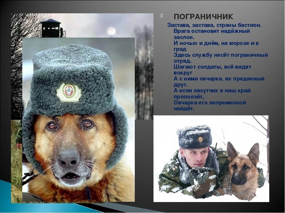 Стих про пограничника для детей. Дошкольникам о пограничниках. С днём пограничника поздравления. Проект мой папа пограничник. Стих про пограничника для детей.