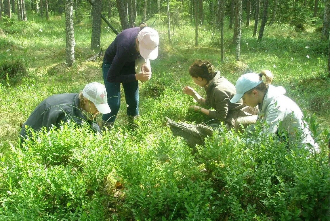 юный натуралист кружок. юннаты фото. юный натуралист. станция юных программа юннаты. юный натуралист для дошкольников.