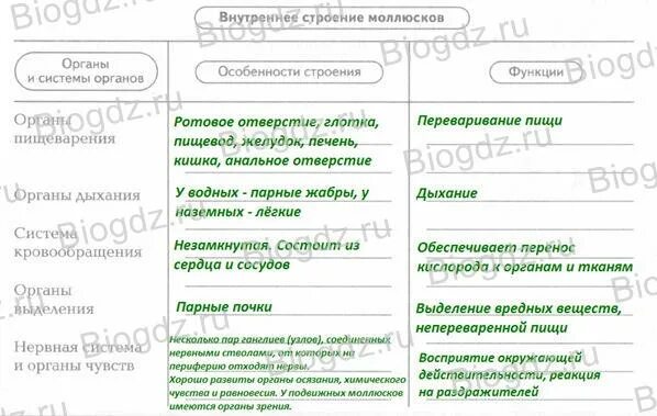 Строение ракообразных таблица. Таблица сравнения брюхоногие двустворчатые и головоногие моллюски. Общая характеристика моллюсков 7 класс биология таблица. Сравнительная характеристика класса типа членистоногих таблица. Биология 7 класс таблица ракообразные паукообразные насекомые.