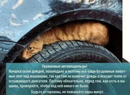 Похолодало разбор