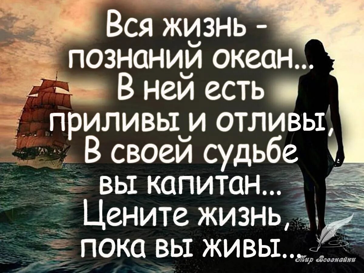 Фразы о судьбе. Афоризмы про жизнь. Хорошие цитаты. Цитаты про жизнь. Жизненные фразы.