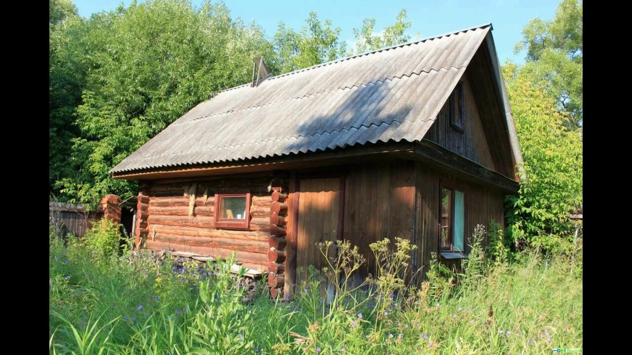 Дача на длительное время. Д Починки Егорьевский район Московская область. Деревня Починки Егорьевский район фото. Снять дачный домик недорого на длительный срок с правом выкупа. Балушевы Починки дома.