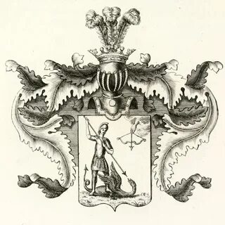 Род языковых