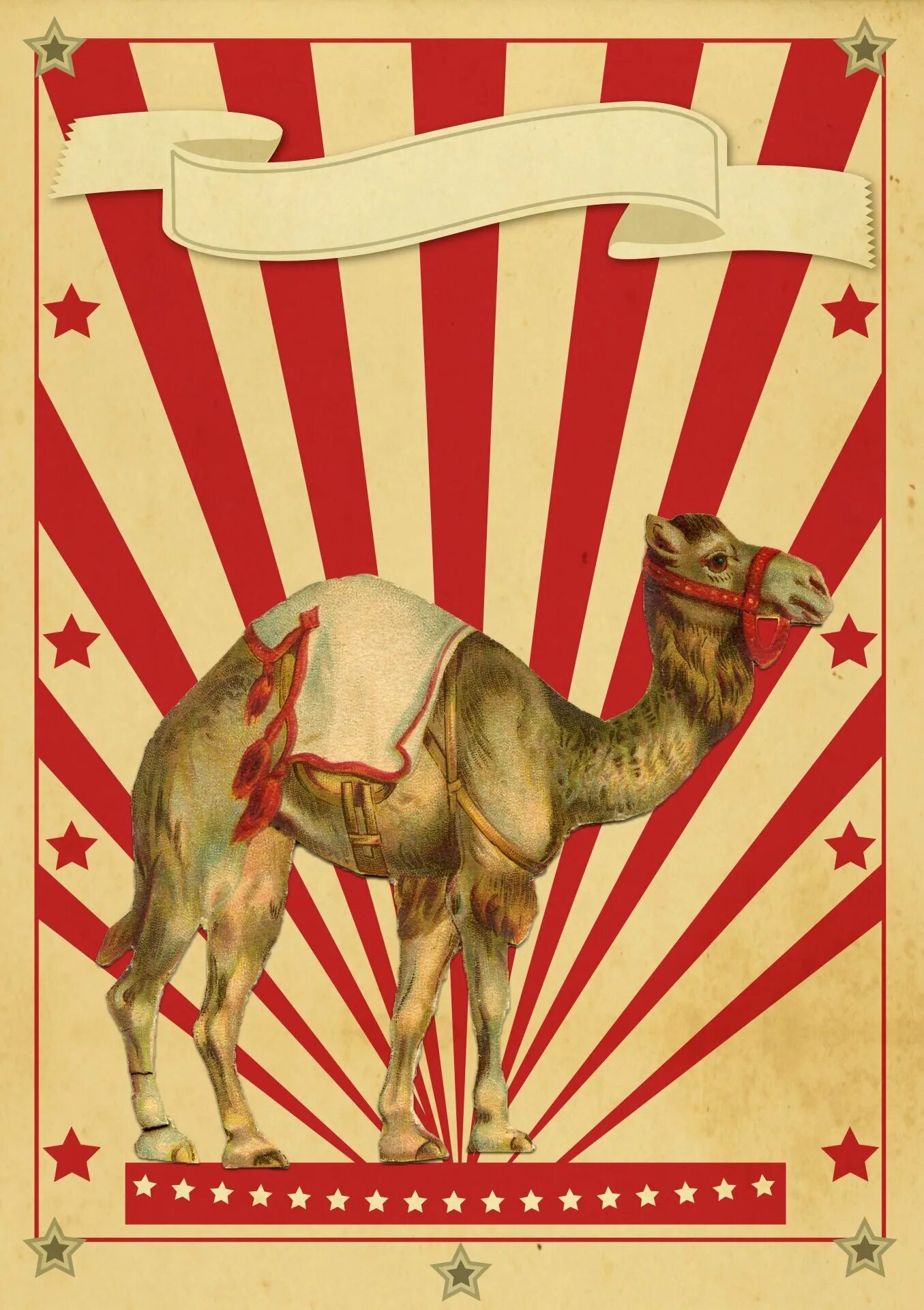 Постеры цирка. Ретро постер camel. цирк плакат. винтажные плакаты цирк. постеры цирк ретро.