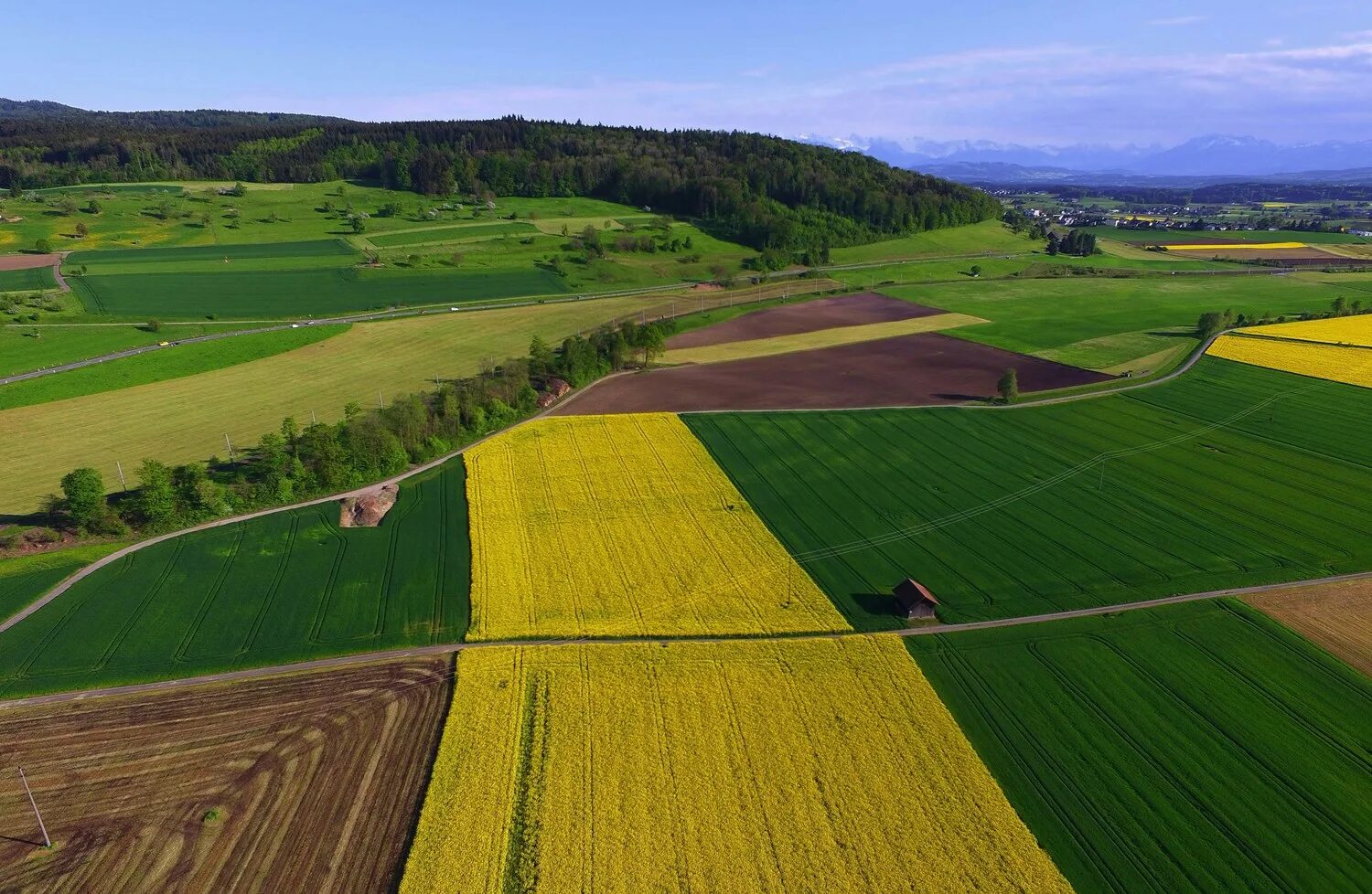 Page fields