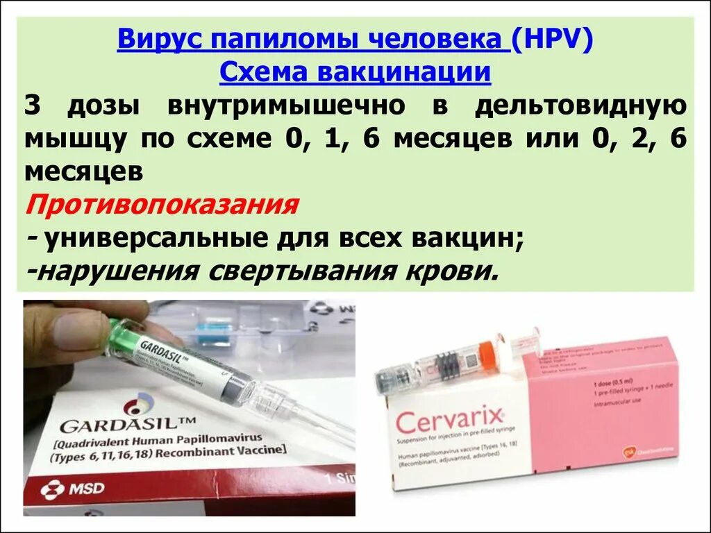 ВПЧ вакцина. Прививка против ВПЧ Гардасил. Вакцина против вируса папилломы человека схема вакцинации. Гардасил схема вакцинации.