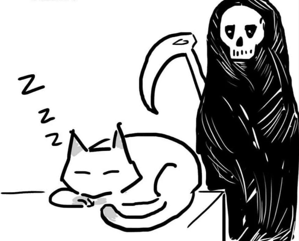 умерший черный кот