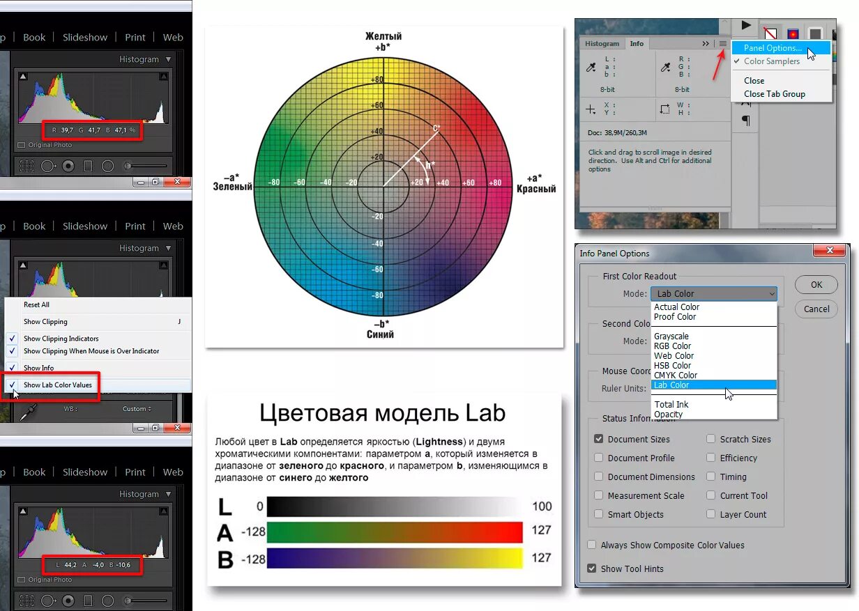 Прога для цвета. Lab цветовая модель. цветовое пространство lab. lab модель цвета. цветовая палитра lab.