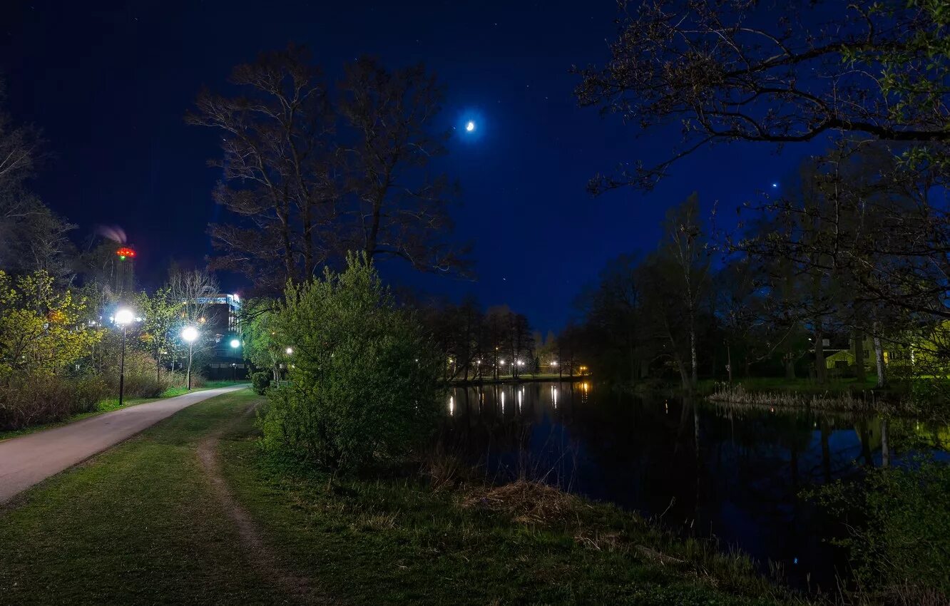 Красивое время ночью. Саровский парк вечером. Летняя ночь. Ночная природа. Ночь картинки.