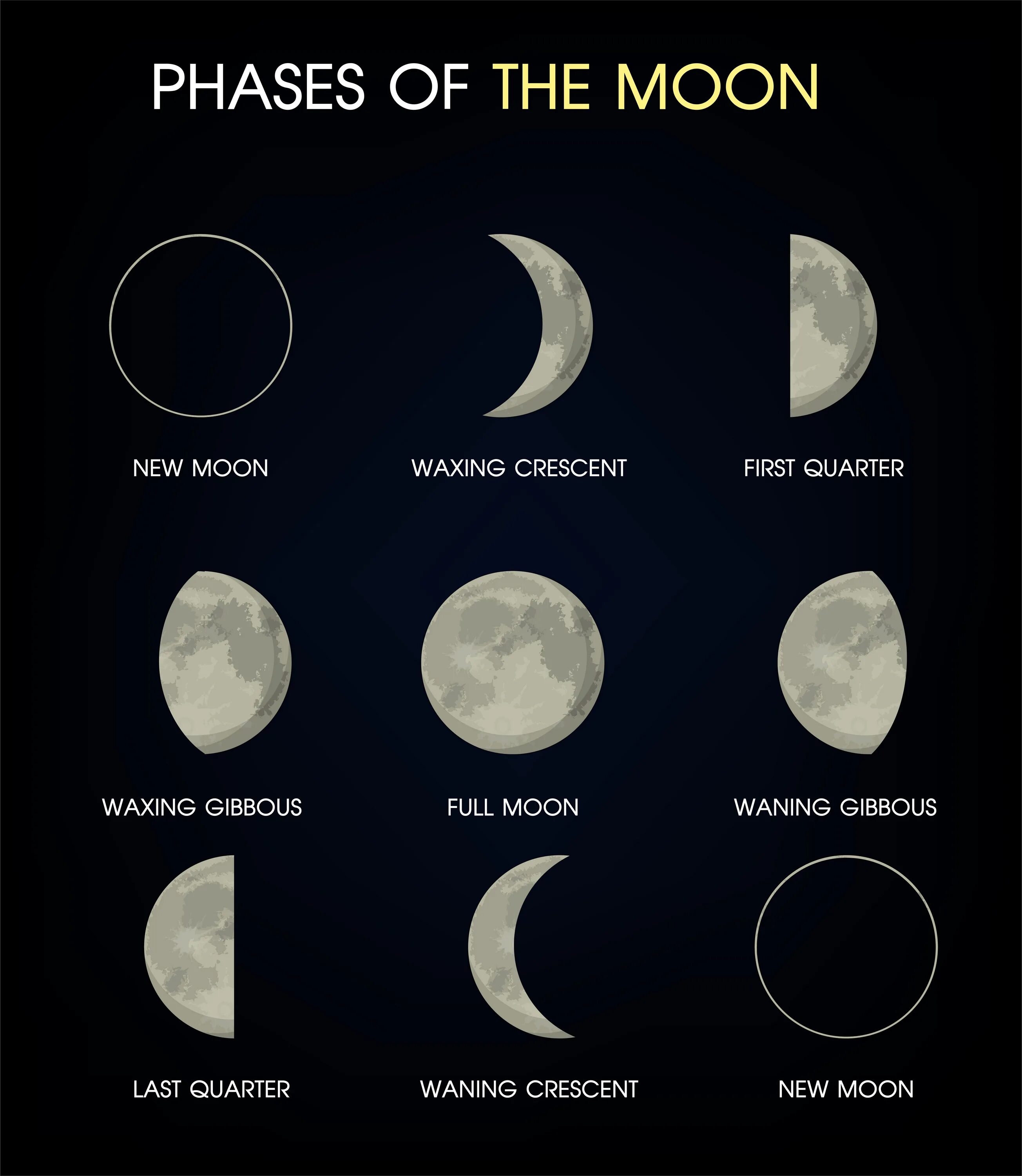 Прибывающая луна в марте 2024. Форма Луны. Лунный цикл. Moon phases. Фазы Луны вектор.