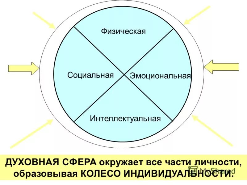 Социальная сфера понятия. Физическая интеллектуальная эмоциональная духовная. Функционирование социальной сферы. Основы социализации личности. Социальная сфера личности.