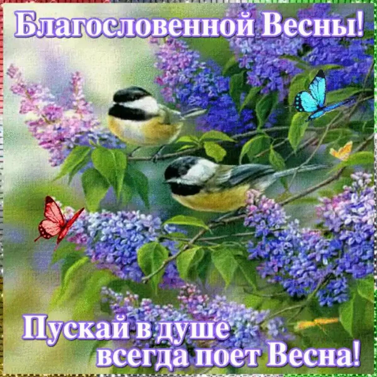 Доброе Весеннее утро благословенного дня. Доброго весеннего дня. Открытки с добрым утром весенние. Хорошего весеннего дня картинки.