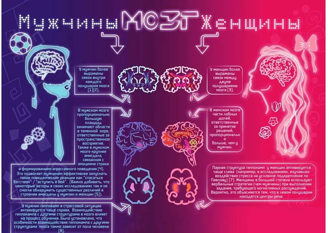 Мозг мужчины и женщины. Мозг мужчины и мозг женщины. Мужской и женский мозг. Мужской и женский мозг различия.