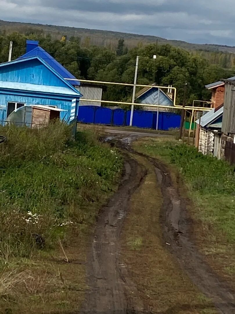 Фото участка земли 10 соток. Село кульшарипово фото. Население кульшарипово. Погода в кульшарипово. Казань садик садик голбакча.