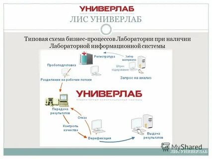 Лабораторная работа 1 информационные системы