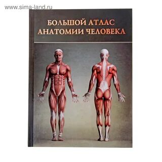 Большой атлас анатомия