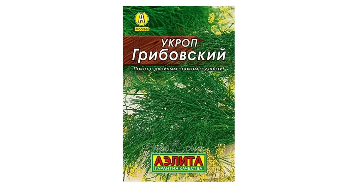 Купить укроп цена. Укроп Грибовский. Укроп Леший. Укроп Грибовский 2500шт.. Картинка укроп Грибовский с описанием.