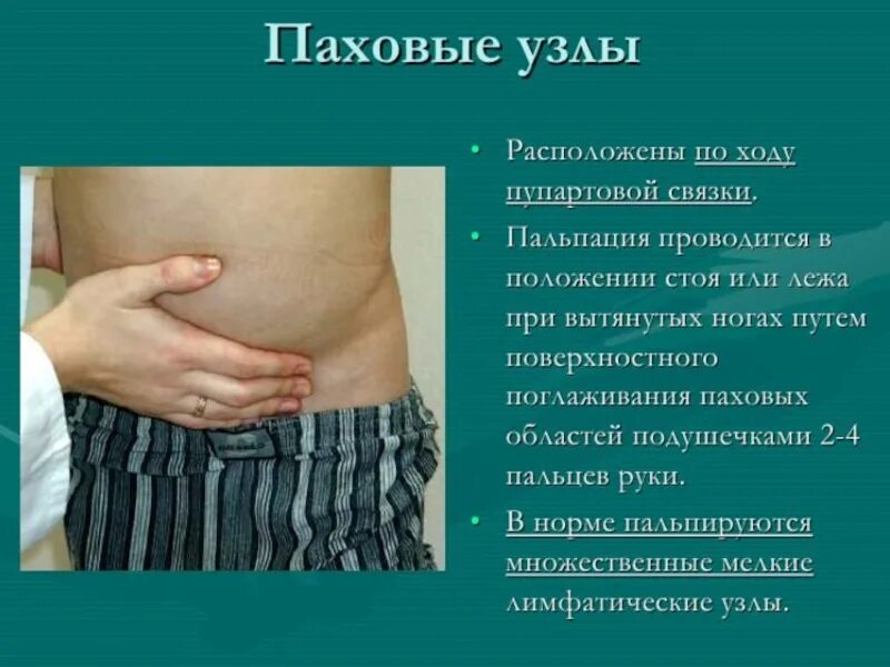 Лимфоузлы в паху у женщин причины