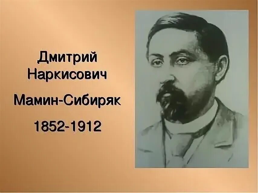 Мамин сибиряк участвовал в организации научной выставки. Д мамин Сибиряк портрет. Д Н мамин Сибиряк портрет писателя.