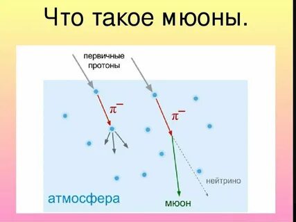 Мюон