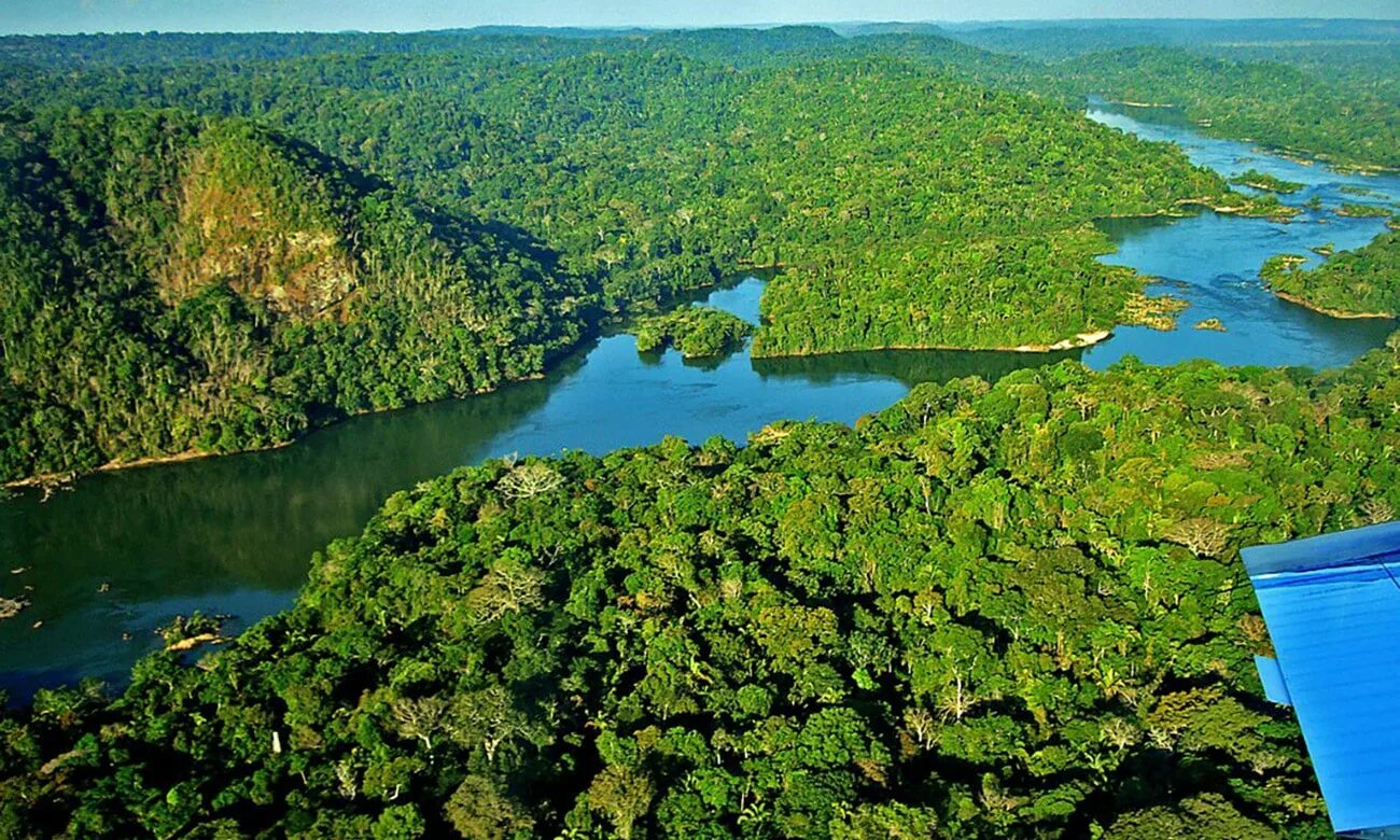 Бразилия Амазонская низменность. Река Амазонка в Бразилии. Тропические леса амазонки в Бразилии. Гвианская Амазония национальный парк. Самая большая река в бразилии