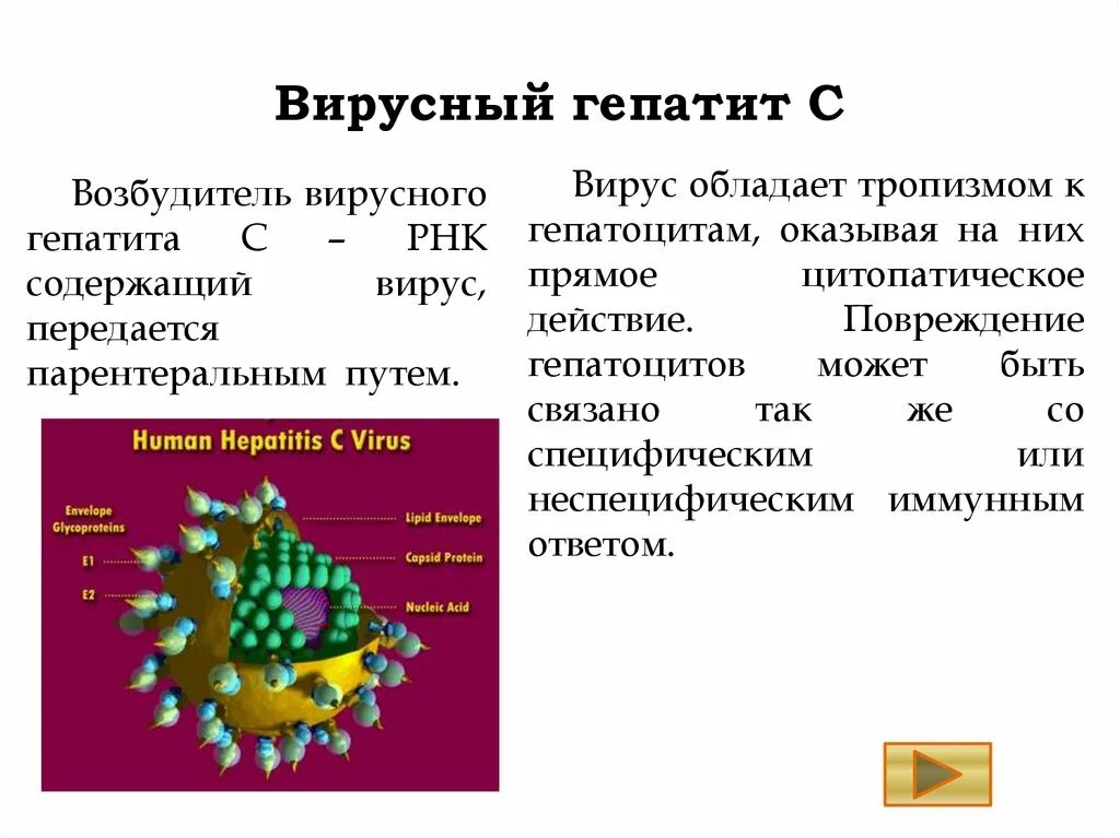 Гепатит а последствия. Вирус гепатита характеристика возбудителя. Вирус гепатита в. Вирусный гепатит c. Вирусный гепатит с (ВГС.