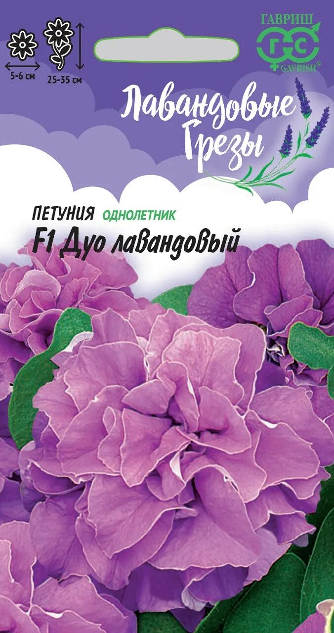 Лавандовое поле. Фиолетовые сны. Лавандовые грезы. Петуния дуо лавандовый f1 махр. Лаванда декор.