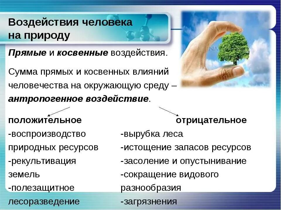 Положительные и негативные воздействия человека на природу. Конструктивное воздействие человека на природу. Влияние человекатна прирду. Влияние человека на природу. Устранение негативного воздействия