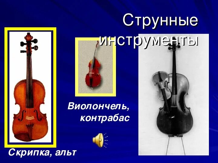 Струнные инструменты 2 класс. Альт струнный инструмент. струнные инструменты скрипка альт виолончель контрабас. скрипка виолончель контрабас. струнно-смычковые музыкальные инструменты.