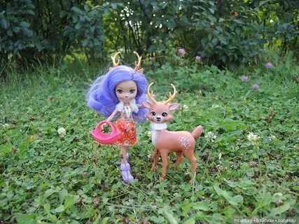 Куколка животное