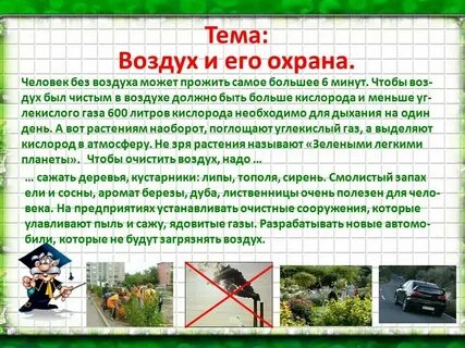 Что нужно делать для чистоты воздуха