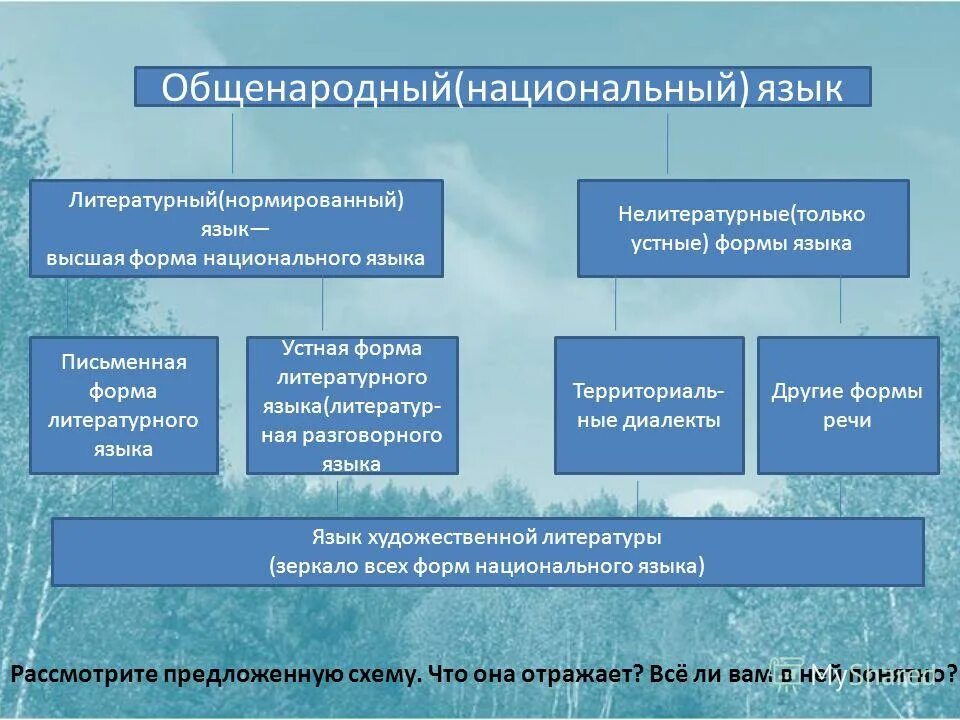 Литературный язык высшая форма литературного языка