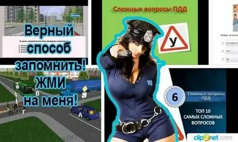 3 5 5 15 100 пдд