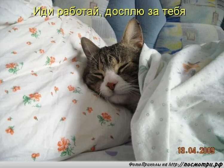 Иди отдохни лучше. Доброе утро ямеще сплю. Доброе сонное утро. Котик проснулся. Я еще сплю.