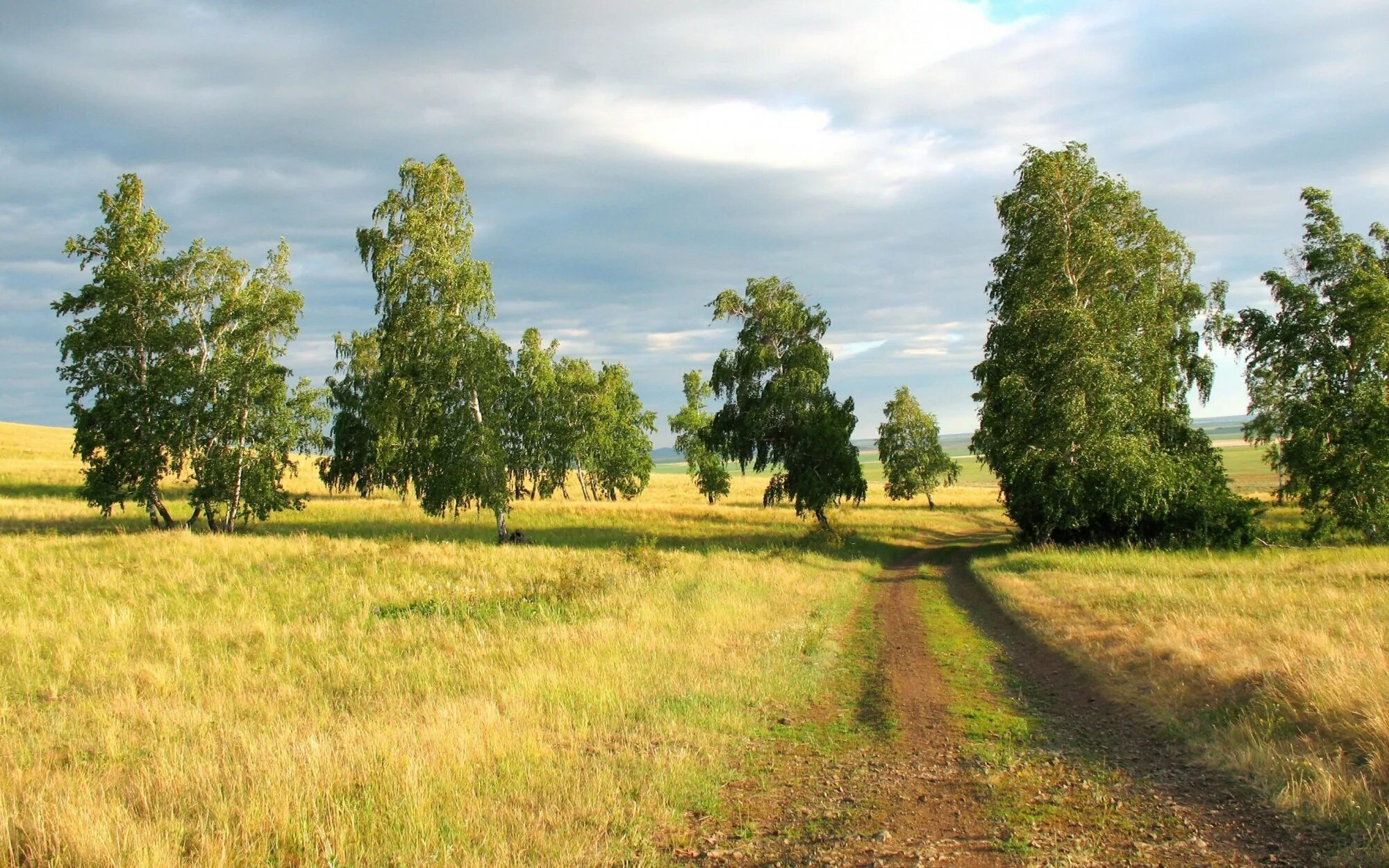 Красивая русская земля. Родные просторы природа родного села. Родные просторы Пушгоры панорама. Лесостепь России. Луга среднерусской лесостепи.