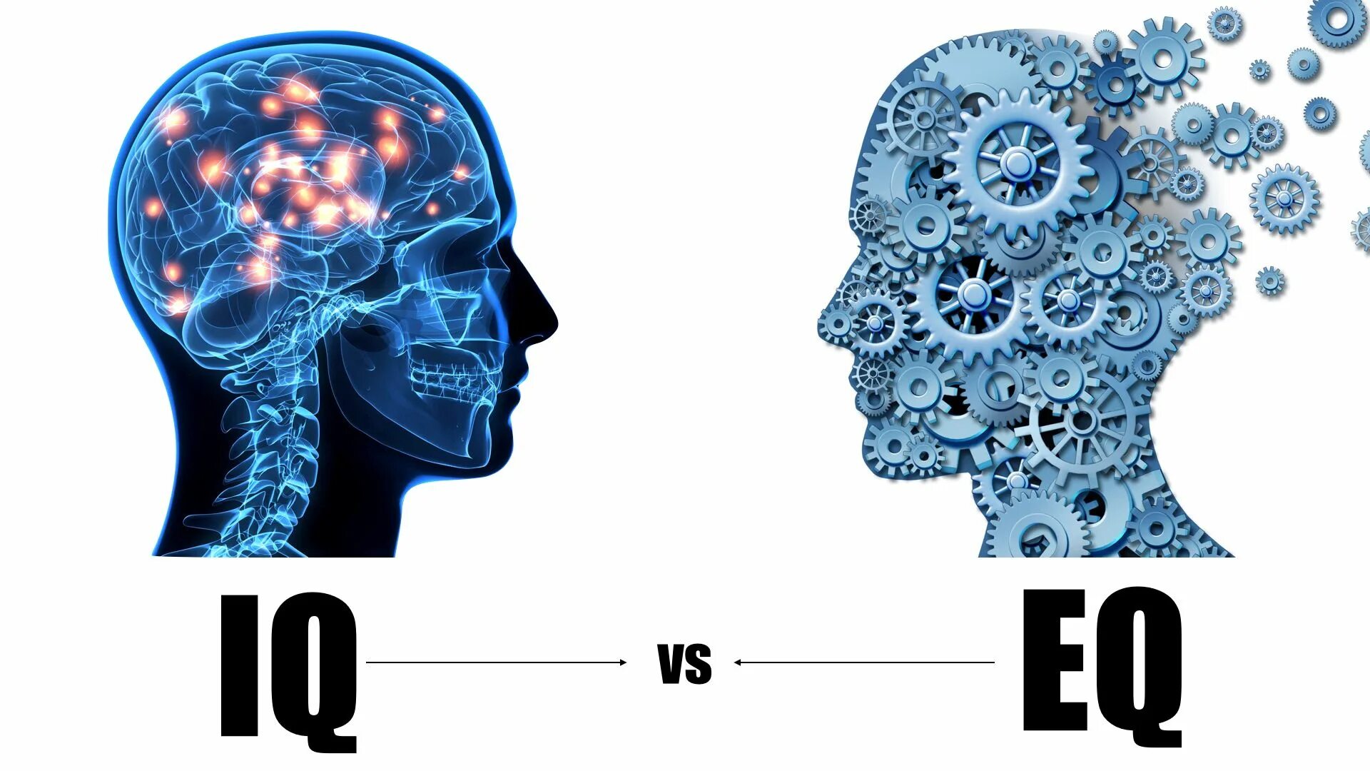 Iq картинки. Айкью и эмоциональный интеллект. Эмоциональный интеллект картинки. EQ - эмоциональный интеллект. IQ мозг.