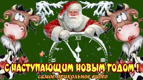 С наступающим прикол видео