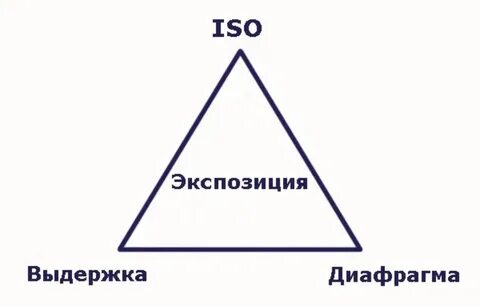 Экспозицию составляют