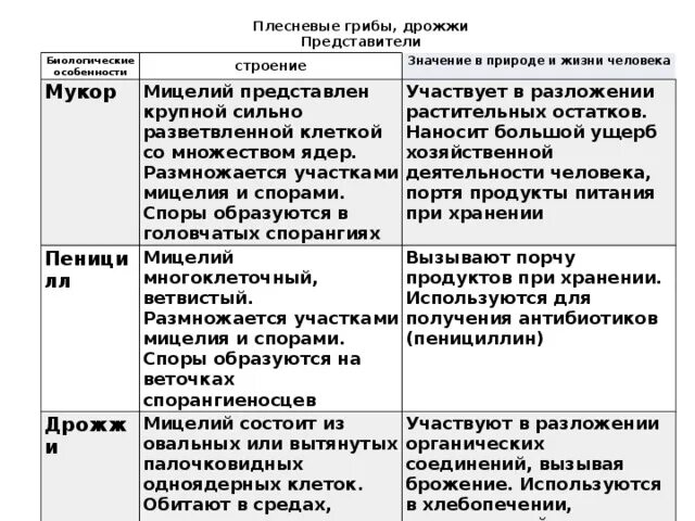 Особенности строения и значение таблица Как Заполнить таблицу по биологии "сравнение растений разных отделов под царство
