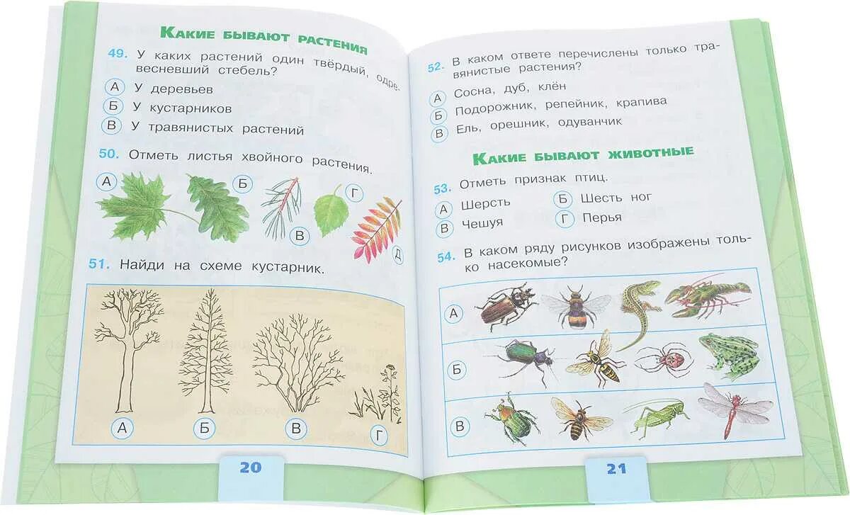Проверочная работа по растительному сообществу. Тесты окружающий мир 2 класс школа России 1 класс Плешаков. Проверочные работы по окружающему миру 2 класс Плешаков школа России. Тесты и проверочные работы по окружающему миру 2 класс школа России. Плешаков а. а. "школа России. Окружающий мир. Тесты. 2 Класс".