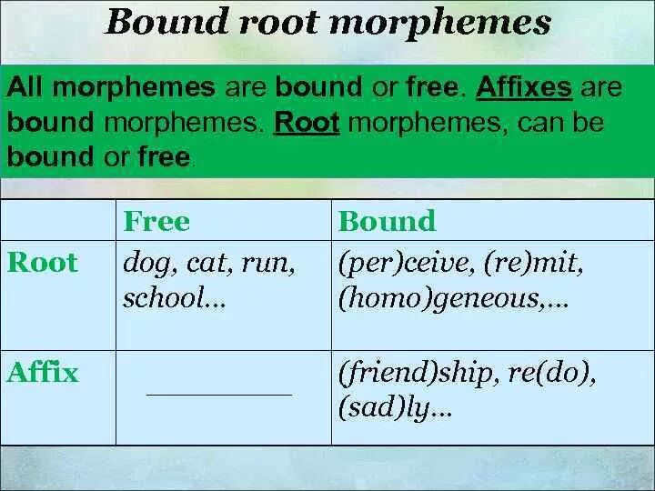 Bound roots. Bound root-Morpheme. Root Morphemes. Bound Morphemes are.