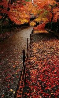 Fall has begun