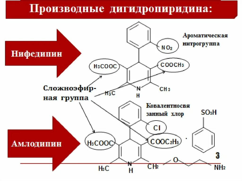 Производные дигидропиридина. Производные 1 4 дигидропиридина препараты. Производные дегидропирозина. Производные дигидропиридина (Нифедипин, амлодипин, никардипин).