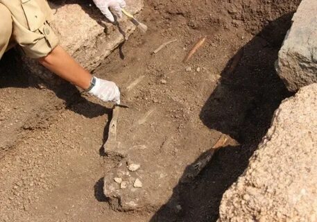 Что могут узнать археологи с помощью авиаразведки