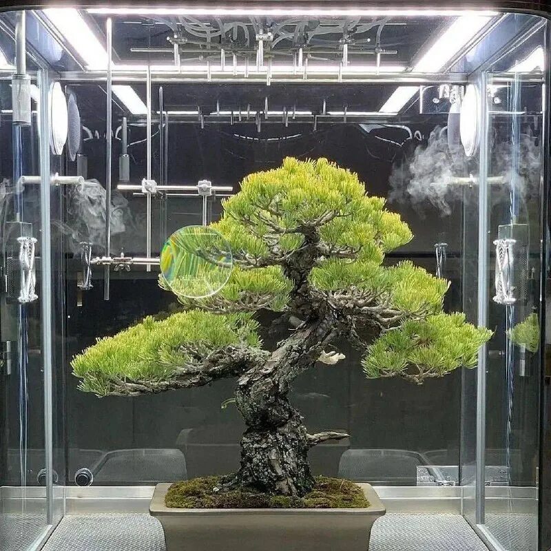 Искусственная среда. Искусственная среда. Искусственная среда примеры. Искусственная среда. Искусственная среда обитания человека.