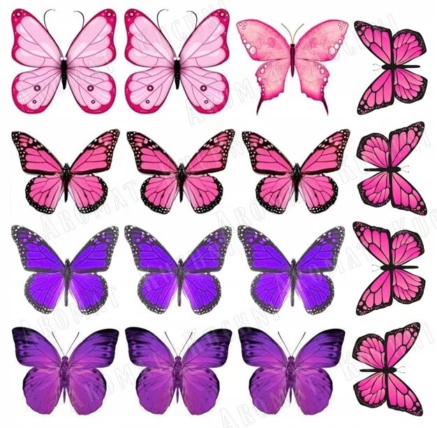 Торт «бабочки». Бабочки для вафельной печати. Бабочки сиреневые для печати. Бабочки цветные. Бабочки для торта картинки для печати
