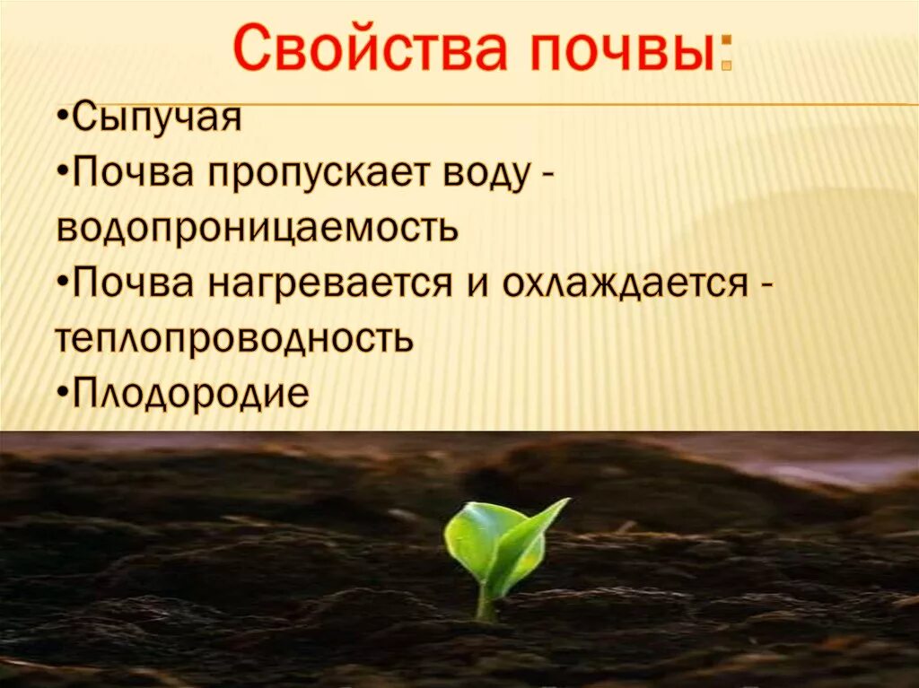 Как называется основное свойство почвы. Свойства почвы. свойства почвы 3 класс. основные качества почвы. основное качества почевы.